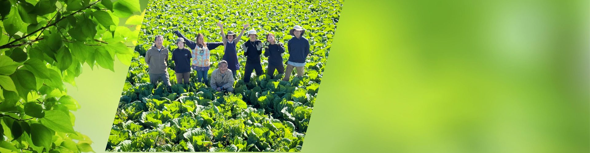 農薬による土壌消毒に頼らない
土作りへ導く